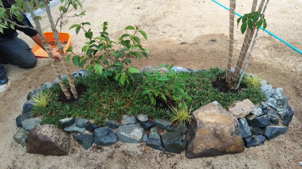dsc 0171 (2)