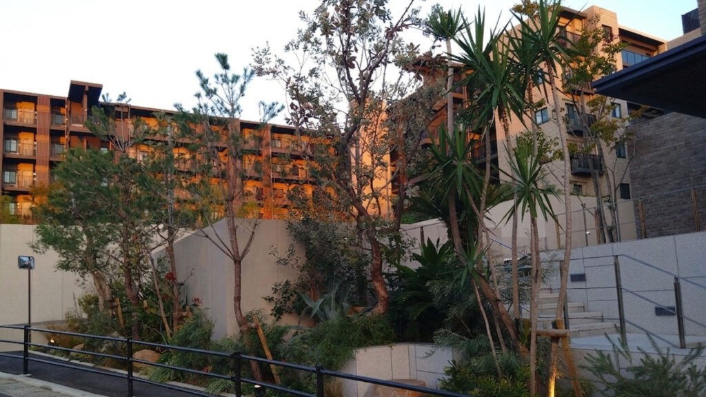 dsc 16356